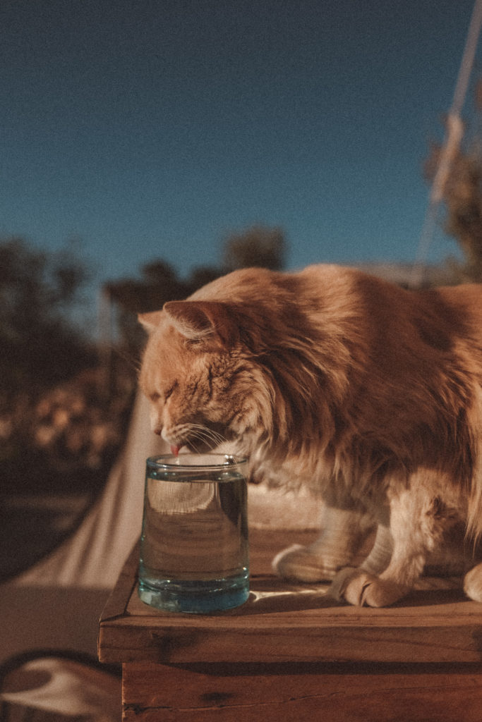 marrakech