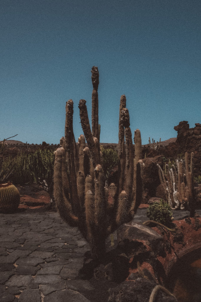 Lanzarote