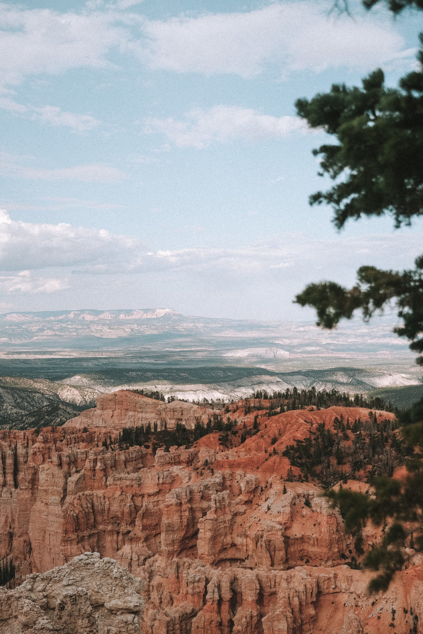  Utah & Arizona