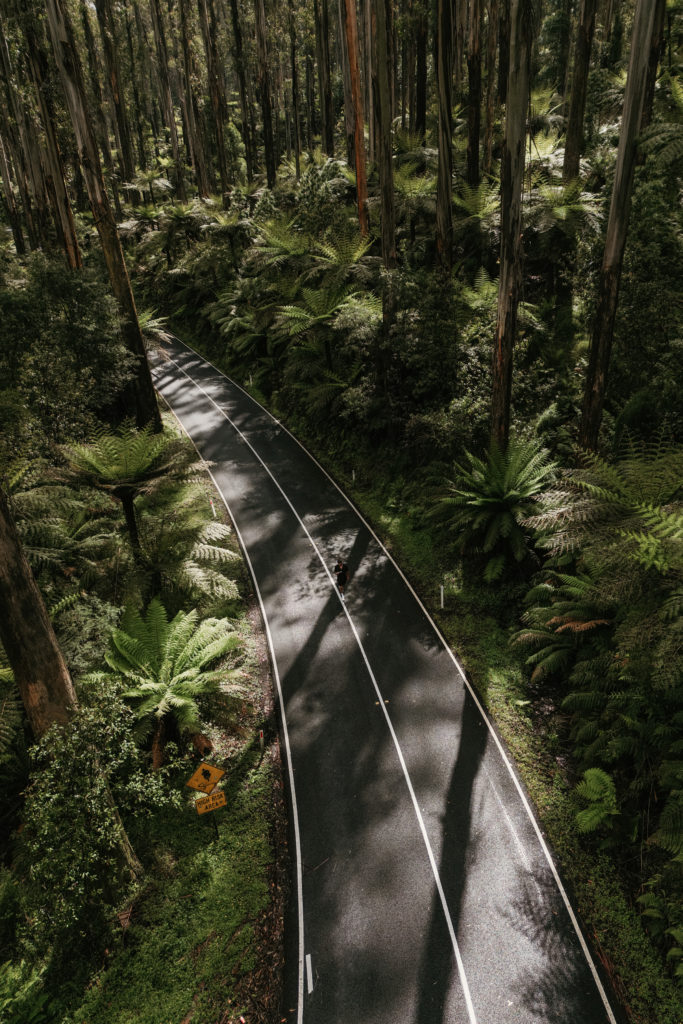 Victoria coastal pacific drive